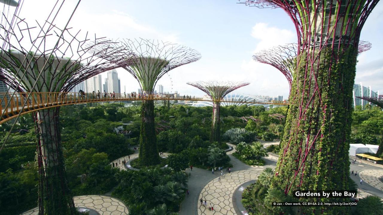 Hotel Zen Sixth Avenue Singapore